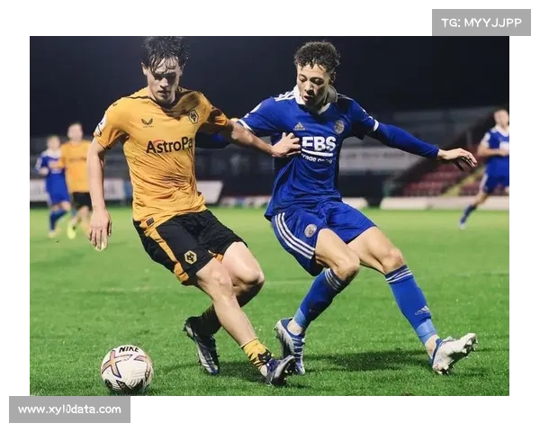 默森看好维拉3-0狼队：狼队输给所有三支升班马